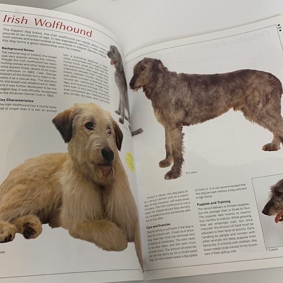 Book | The Ultimate Illustrated Guide To Over 200 Breeds | Legacy Of The Dog - Picture 6 of 8